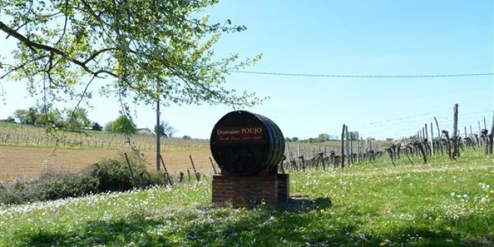 coteaux bearn madiran