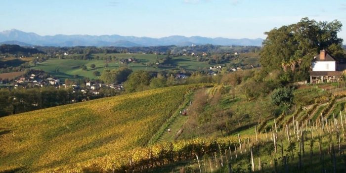 la ville de Monein